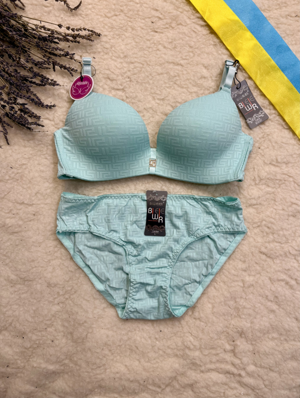 Комплект жіночий BWR ( бюстгальтер + трусики ) 73493